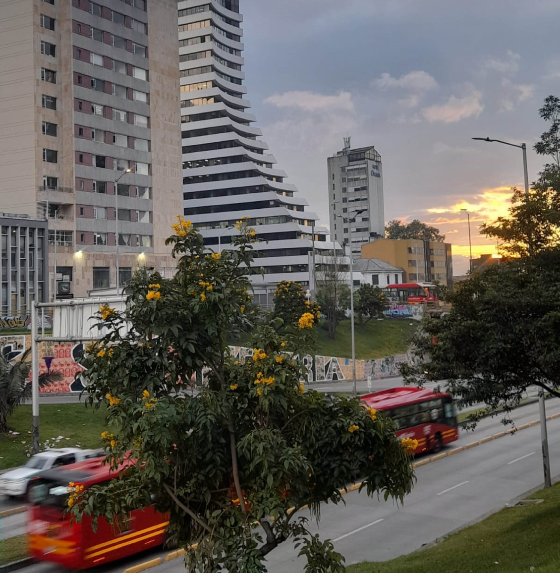 Fotografía 6